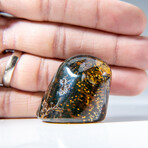 Genuine Polished Amber from Mexico