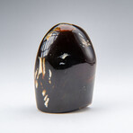 Genuine Polished Amber Freeform from Indonesia