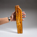 Genuine Gem-Quality Amber (Copal) from Colombia // v.5