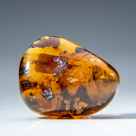Genuine Polished Amber from Mexico // v.2