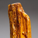 Genuine Gem-Quality Amber (Copal) from Colombia // v.5