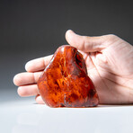 Genuine Amber from Baltic Sea, near Gdansk, Poland // 82.1 g