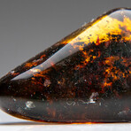 Genuine Gem-Quality Amber (Copal) from Colombia // v.3