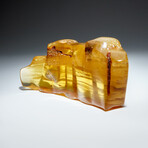 Genuine Gem-Quality Amber (Copal) from Colombia // v.1