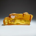 Genuine Gem-Quality Amber (Copal) from Colombia // v.1