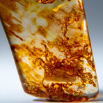 Genuine Amber from Baltic Sea, near Gdansk, Poland // v.3