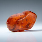 Genuine Amber from Baltic Sea, near Gdansk, Poland // v.5