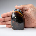 Genuine Polished Amber Freeform from Indonesia