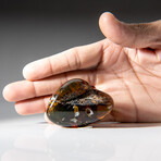 Genuine Polished Amber from Mexico // v.3