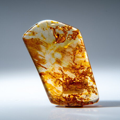 Genuine Amber from Baltic Sea, near Gdansk, Poland // v.3