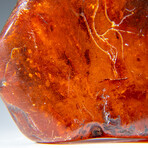 Genuine Amber from Baltic Sea, near Gdansk, Poland // 82.1 g