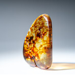 Genuine Amber from Baltic Sea, near Gdansk, Poland // 21.9 g