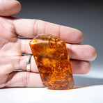 Genuine Amber from Baltic Sea, near Gdansk, Poland // v.3