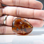 Genuine Polished Amber from Mexico // v.2