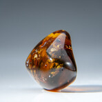 Genuine Polished Amber from Mexico // v.2