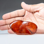 Genuine Amber from Baltic Sea, near Gdansk, Poland // v.5