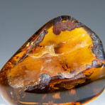 Genuine Polished Amber from Mexico // v.2