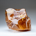 Genuine Gem-Quality Amber (Copal) from Colombia