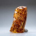 Genuine Gem-Quality Amber (Copal) from Colombia // v.7