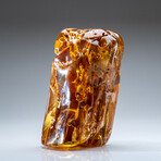 Genuine Gem-Quality Amber (Copal) from Colombia // v.7
