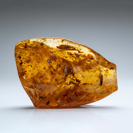 Genuine Amber from Baltic Sea, near Gdansk, Poland // 303.6 g