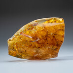 Genuine Amber from Baltic Sea, near Gdansk, Poland // 303.6 g