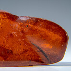 Genuine Amber from Baltic Sea, near Gdansk, Poland // v.5