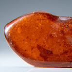 Genuine Amber from Baltic Sea, near Gdansk, Poland // v.5