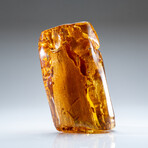 Genuine Gem-Quality Amber (Copal) from Colombia // v.7