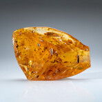 Genuine Amber from Baltic Sea, near Gdansk, Poland // 303.6 g