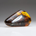 Genuine Gem-Quality Amber (Copal) from Colombia // v.3