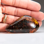 Genuine Gem-Quality Amber (Copal) from Colombia // v.3