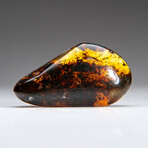 Genuine Gem-Quality Amber (Copal) from Colombia // v.3