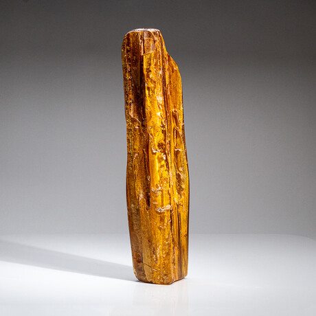 Genuine Gem-Quality Amber (Copal) from Colombia // v.5