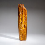 Genuine Gem-Quality Amber (Copal) from Colombia // v.5