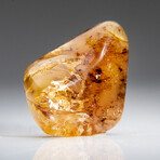 Genuine Gem-Quality Amber (Copal) from Colombia // v.2