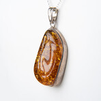 Genuine Polished Amber Freeform Pendant with 18" Sterling Silver Chain // v.5