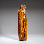 Genuine Gem-Quality Amber (Copal) from Colombia // v.5