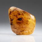 Genuine Gem-Quality Amber (Copal) from Colombia // v.2
