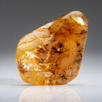 Genuine Gem-Quality Amber (Copal) from Colombia // v.2