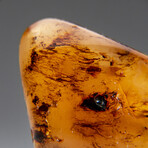 Genuine Gem-Quality Amber (Copal) from Colombia // v.2