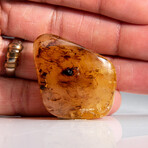 Genuine Gem-Quality Amber (Copal) from Colombia // v.2