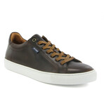 Tennis Sneakers // Brown Dark (39)