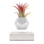 Lyfe Planter // White