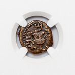 "Masada" Coin // First Jewish War, 66-70 C.E.