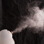 Senia Hot and Cold Smart Facial Steamer