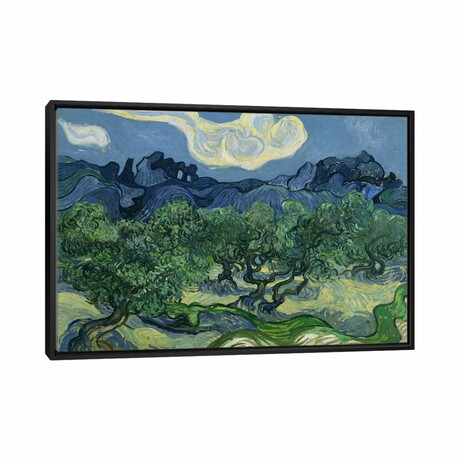 Olive Trees With The Alpilles In The Background By Vincent Van Gogh (18"H x 26"W x 1.5"D)