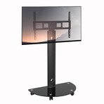 ProMount Mobile TV Stand Mount // 32"-72" // Holds 88lbs