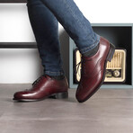 James Wingtip Derby // Burgundy (US: 8.5)