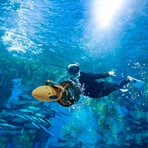Underwater SeaScooter